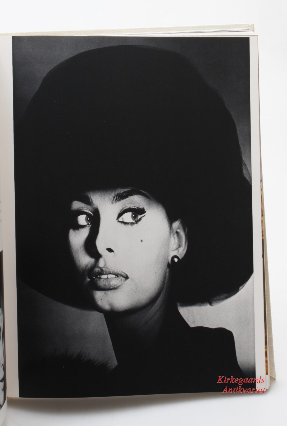Irving Penn — Moments Preserved 1st edition - Image 11