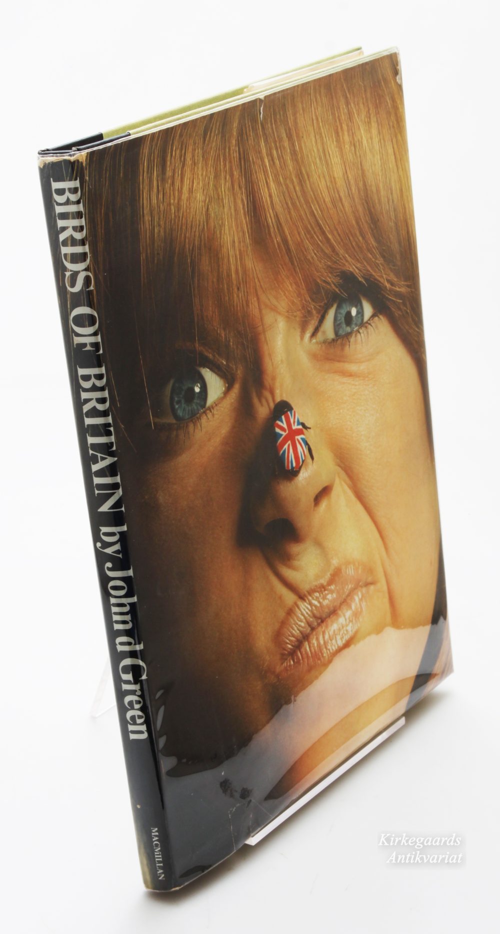 John Green — Birds of Britain 1st US edition - Image 2