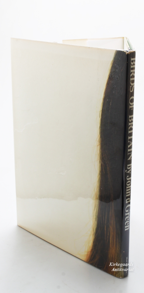 John Green — Birds of Britain 1st US edition - Image 3